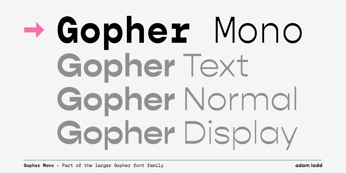 Gopher Mono Medium Italic Font preview